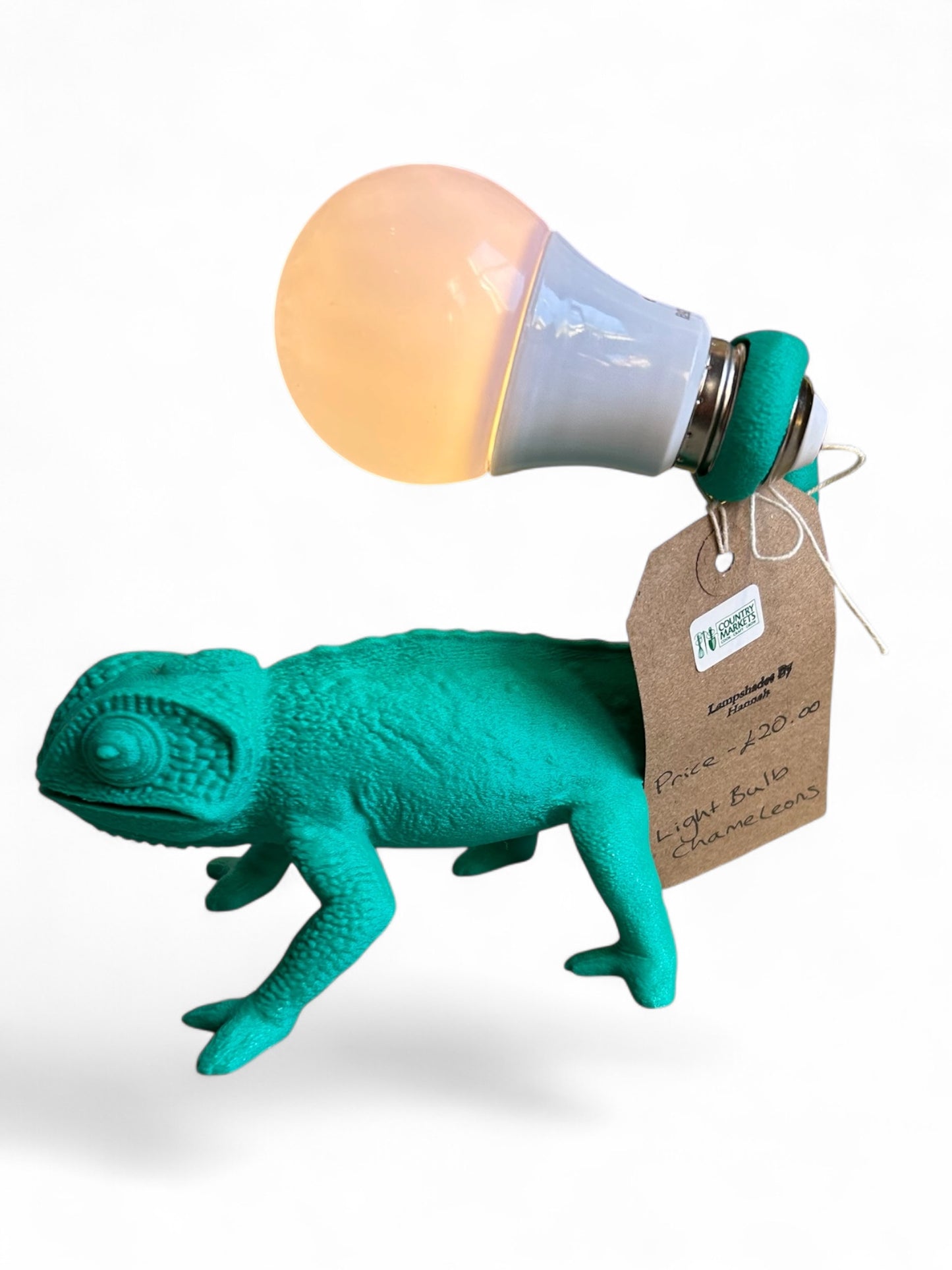 Small chameleon lamp